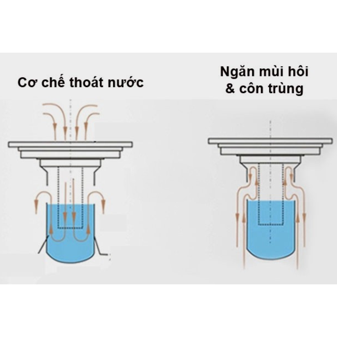 phễu thu sàn chống hôi